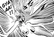 Akira Fudo grabs Welvath