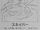 Snaver