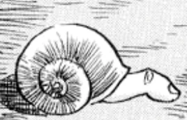 Screenshot 20230220-000144 Gallery