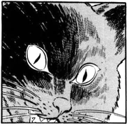 Nafiroclose.png (111 KB) Nafiro close up