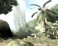 View of the HQ from the forest.