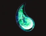 07 Healing Heart.jpg