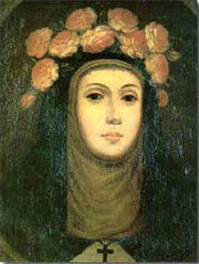 Rosa delima.jpg