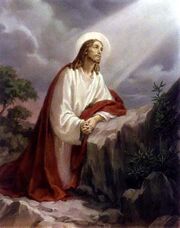 Img padreNuestro.jpg
