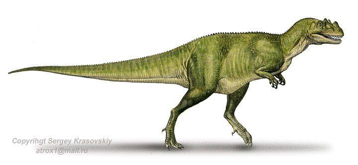 Ceratosaurus | Devon dink dino Wiki | Fandom