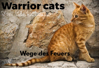 Wege des Feuers Cover.png