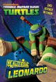 TMNT Wie alles begann Leonardo