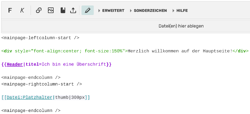 Ein Beispiel, wie der Code im Editor aussieht.