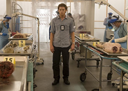 Field morgue