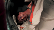 Shawn's body in Zach's trunk