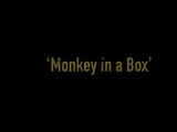 Episode 811: Monkey in a Box