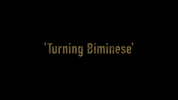 Turning Biminese