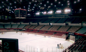 Miami Blades