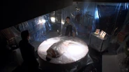Fleeter on kill table
