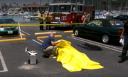 Lundy under yellow tarp