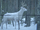 White Deer