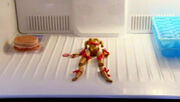 101freezer.jpg
