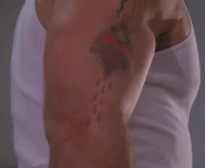 Little Chino's tattoo trophies