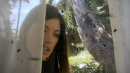 Debra sees flies inside the Ortiz house