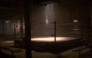 Boxing Arena - Interior