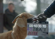 Goat.png (408 KB) Goat