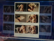 Carissa Porter kills a lamb for Professor Gellar