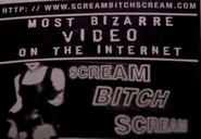 "Scream Bitch Scream" website