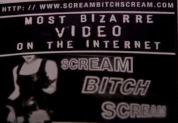 scream bitch Jamie Jaworski | Dexter Wiki | Fandom