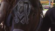 Alpha Omega symbol on horse's forehead