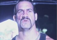 Chino2.jpg (21 KB) Little Chino recognizes Dexter