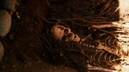Skeletons buried in A.J.'s backyard