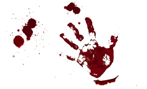 Bloody Hand Print