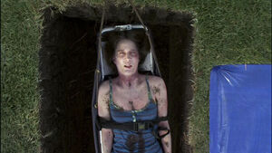 Ellen Wolf deceased