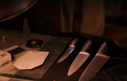 Knives found in boathouse 7