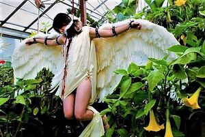 Angel of Death