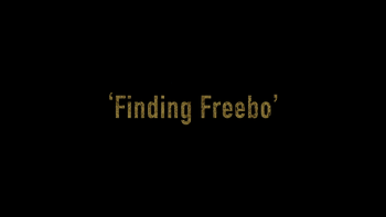 Finding Freebo