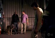 Nick, Sam, Dexter, and dog Eli