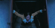Lily emerges from cellar