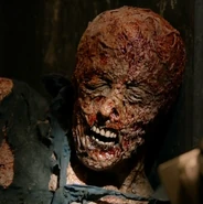 Leo1.png (451 KB) Leo Santolongo