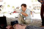 Dexter bagging the snakes