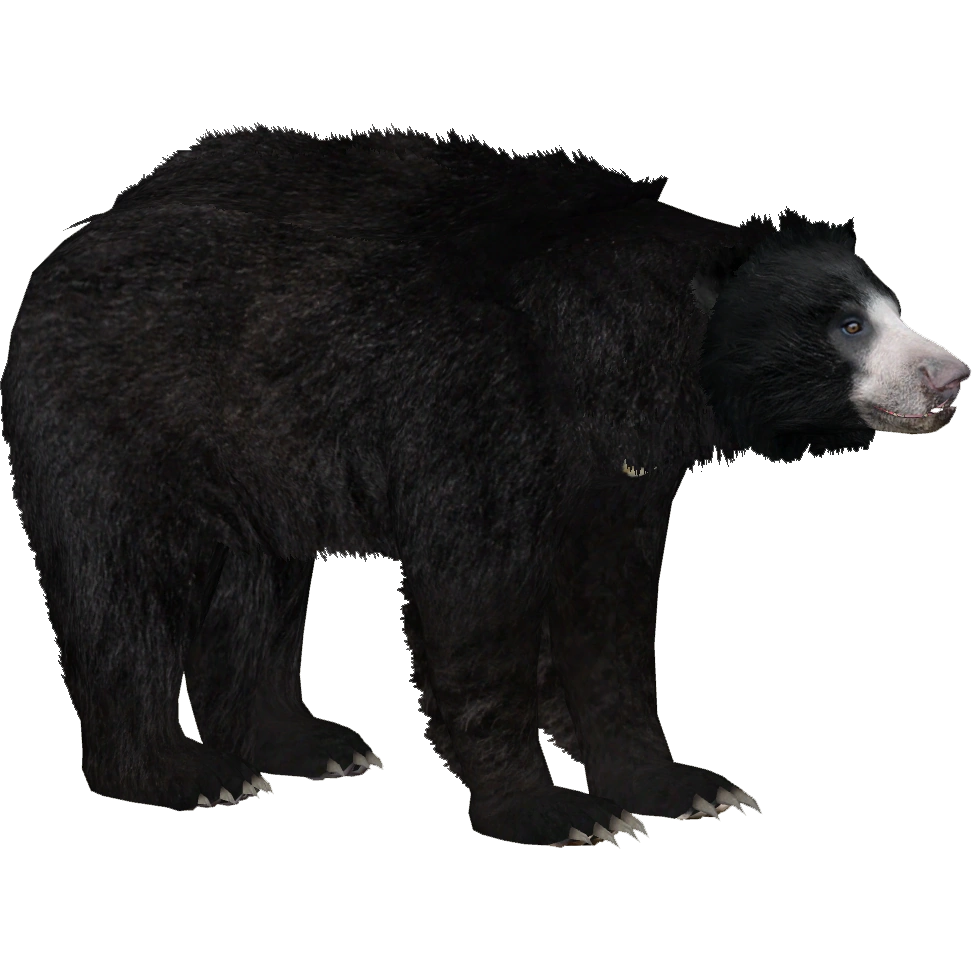 Pretzel Dexters Laboratory The Movie 2025 Wiki Fandom