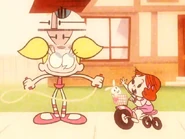 Hey! Where did you get that cool hat?