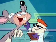 Dexter feeding a "rat" a cookie