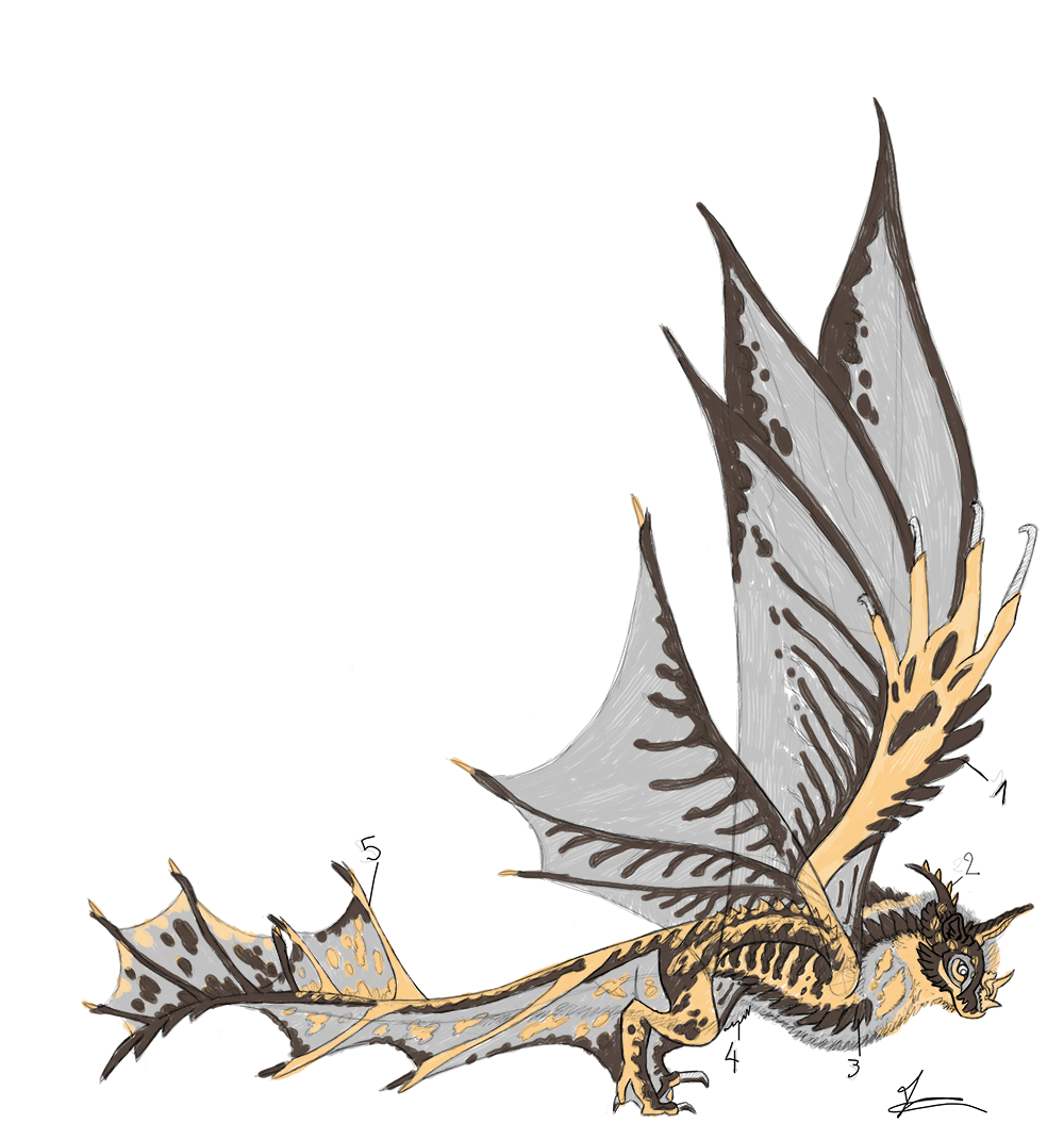 Discuss Everything About Dragon Adventures Wiki Fandom - roblox dragon adventures paukiki redesign