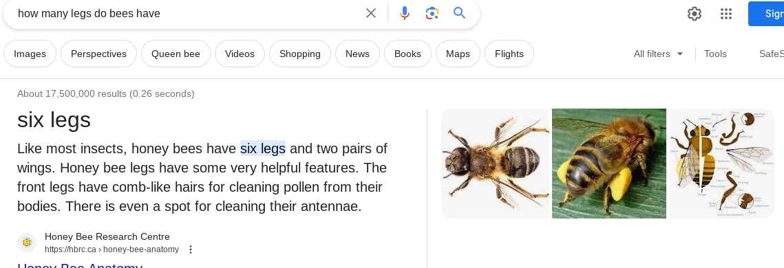 How Many Legs Do Bees Have?