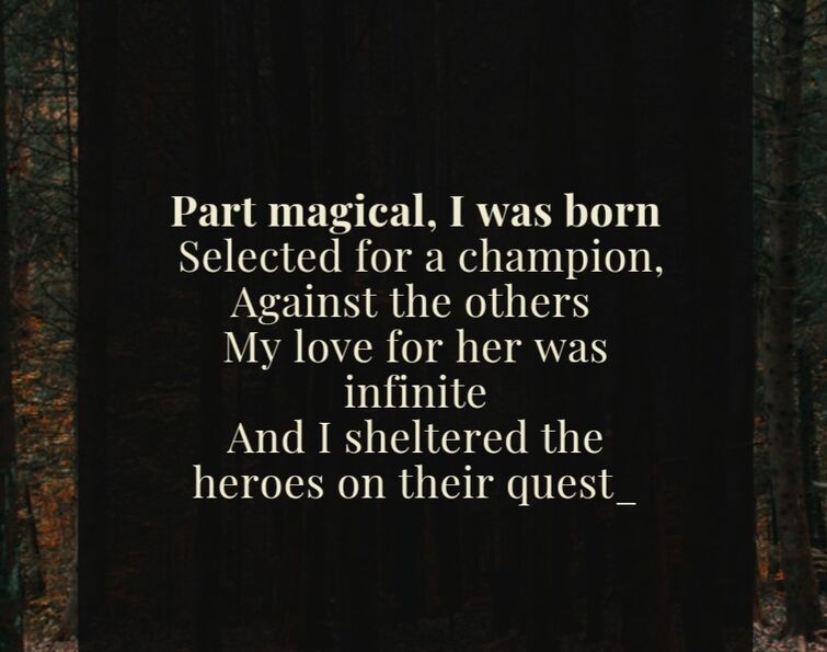Fandom Image