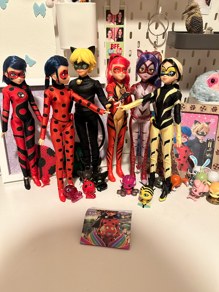 Got these new Miraculous Ladybug and Cat Noir dolls and finally