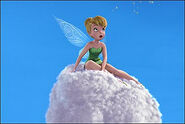 Tinkerbell Cotton Puff