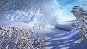 A portion of the Winter Woods