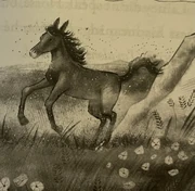 Dewdrop from Up the Misty Peak